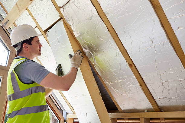 Best Home Insulation Services  in Taylor Lake Village, TX