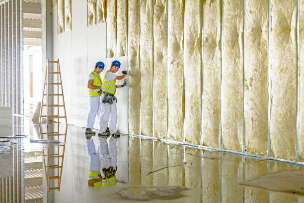 Best Blown-in Insulation  in Taylor Lake Village, TX